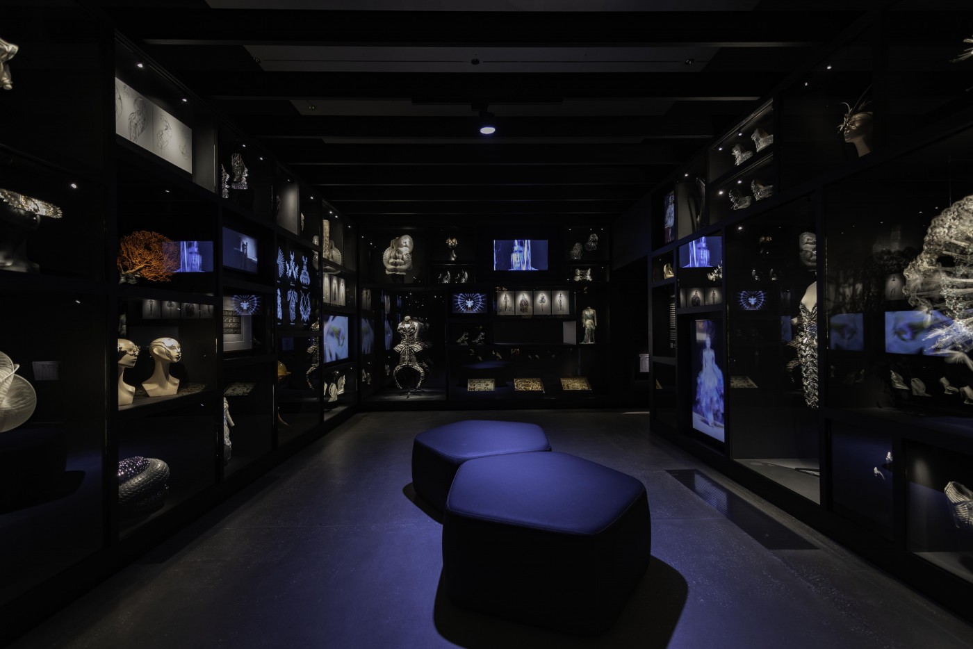 Installation view of the Cabinet of Curiosities in ‘Iris van Herpen: Sculpting the Senses’, Gallery of Modern Art, Brisbane / © Iris van Herpen / Photograph: J Ruckli © QAGOMA