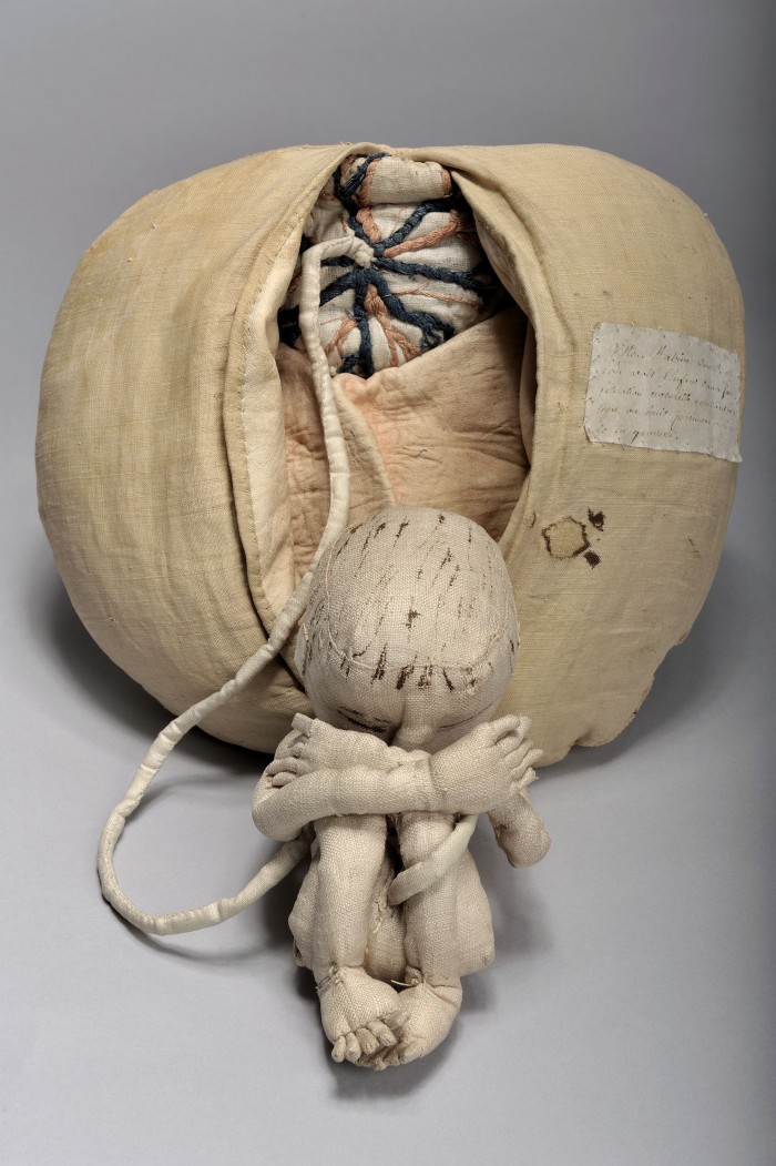 Part of the Mannequin of Madame du Coudray to teach midwifery. © Musée Flaubert et d'histoire de la médecine, Métropole Rouen Normandie.