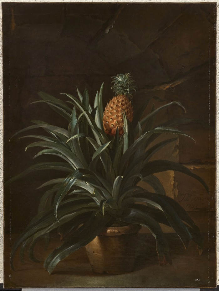 Pineapple in a pot, by Jean-Baptiste Oudry, 1733. © Château de Versailles, Dist. RMN © Christophe Fouin.